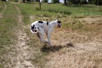 image_IMG_0437 image_IMG_0437