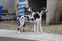 image_IMG_0562 image_IMG_0562