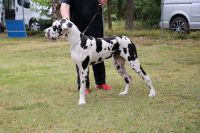 image_IMG_1047 image_IMG_1047