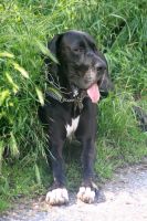 image_IMG_0610 image_IMG_0610